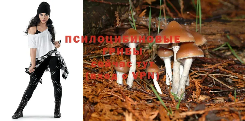 Псилоцибиновые грибы MAGIC MUSHROOMS  Бузулук 